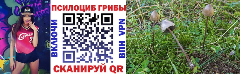 Галлюциногенные грибы прущие грибы  даркнет сайт  Агрыз 